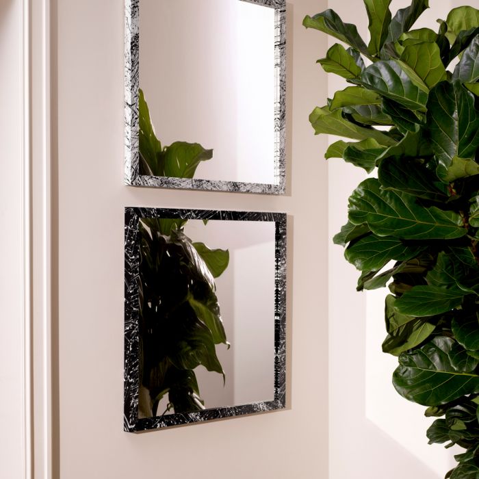 Mirror Reflection of Eccentricity Black