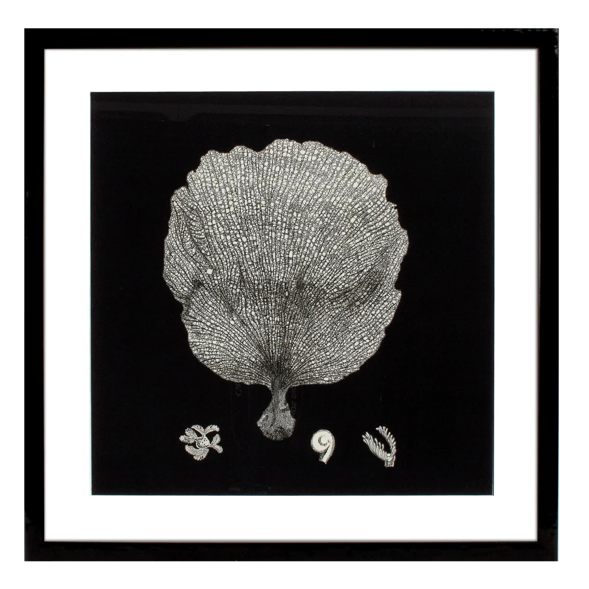 Prints Black & Tan Corals set of 4