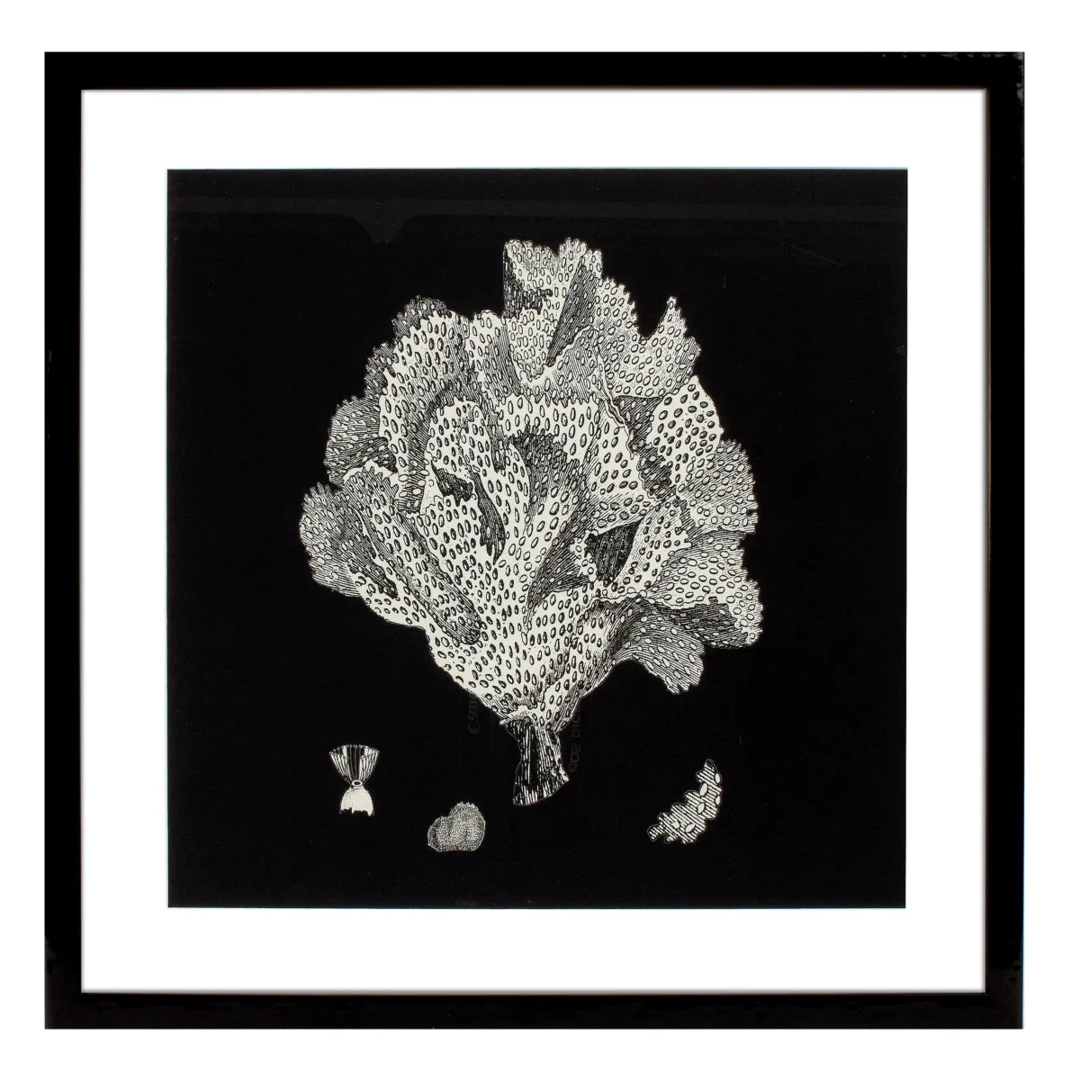 Prints Black & Tan Corals set of 4