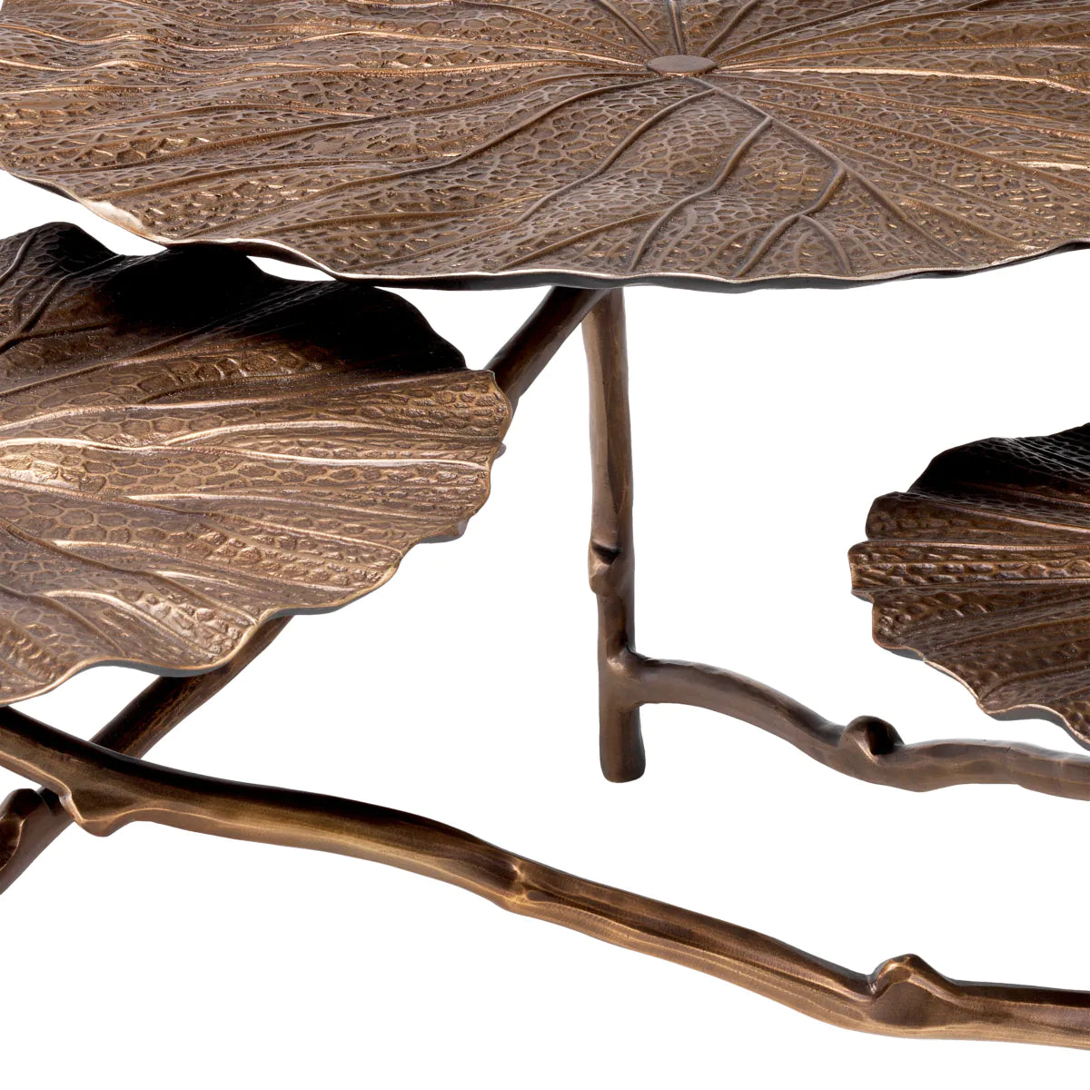 Coffee Table Colibri