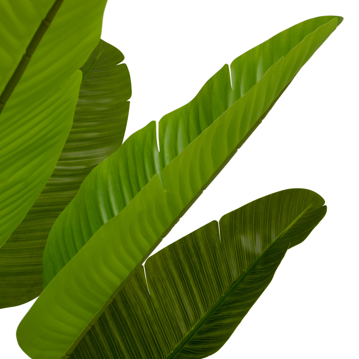 Artificial Plant Strelitzia M