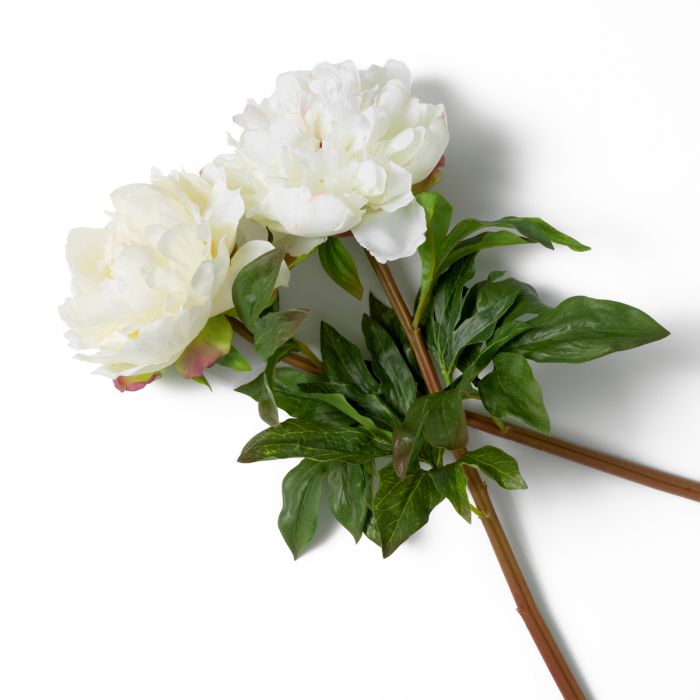 Bouquet of Peonies Real Touch 48 pcs/2 Varieties