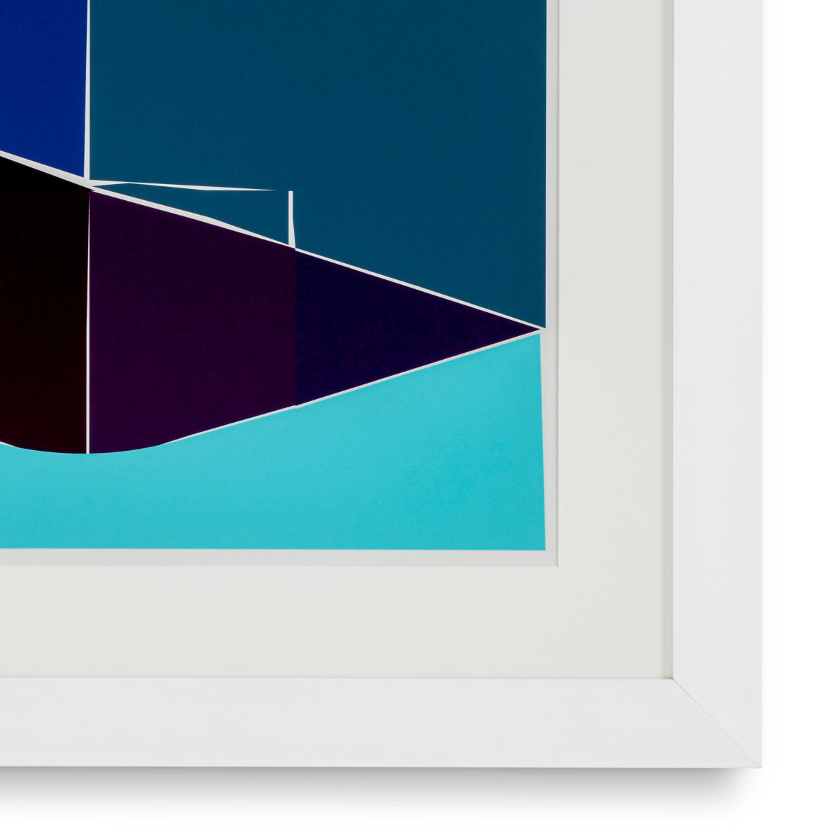 Print Silkscreen from Boissière I by Henri Boissiè