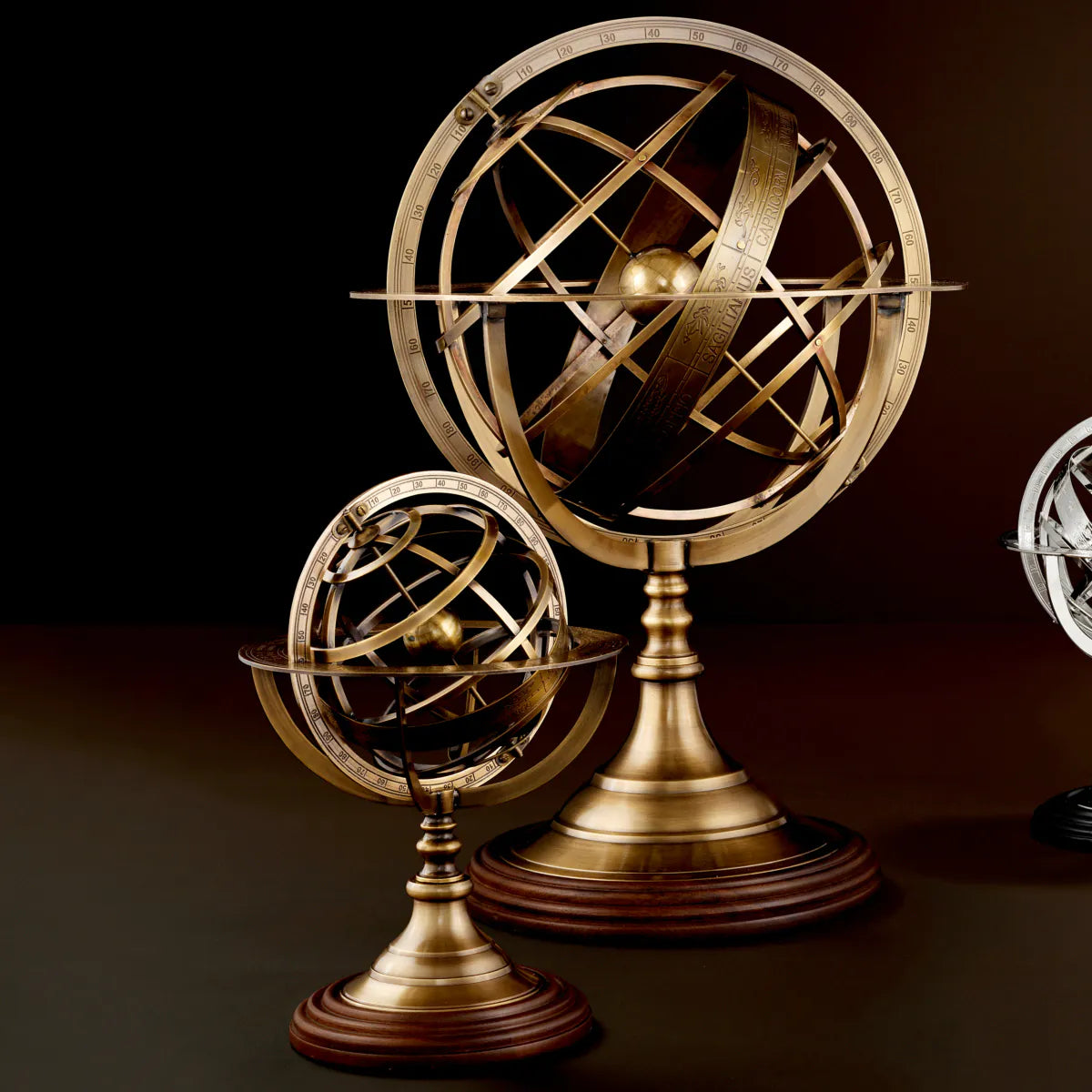 Globe L