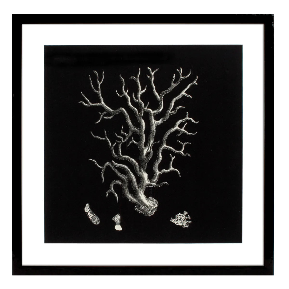 Prints Black & Tan Corals set of 4