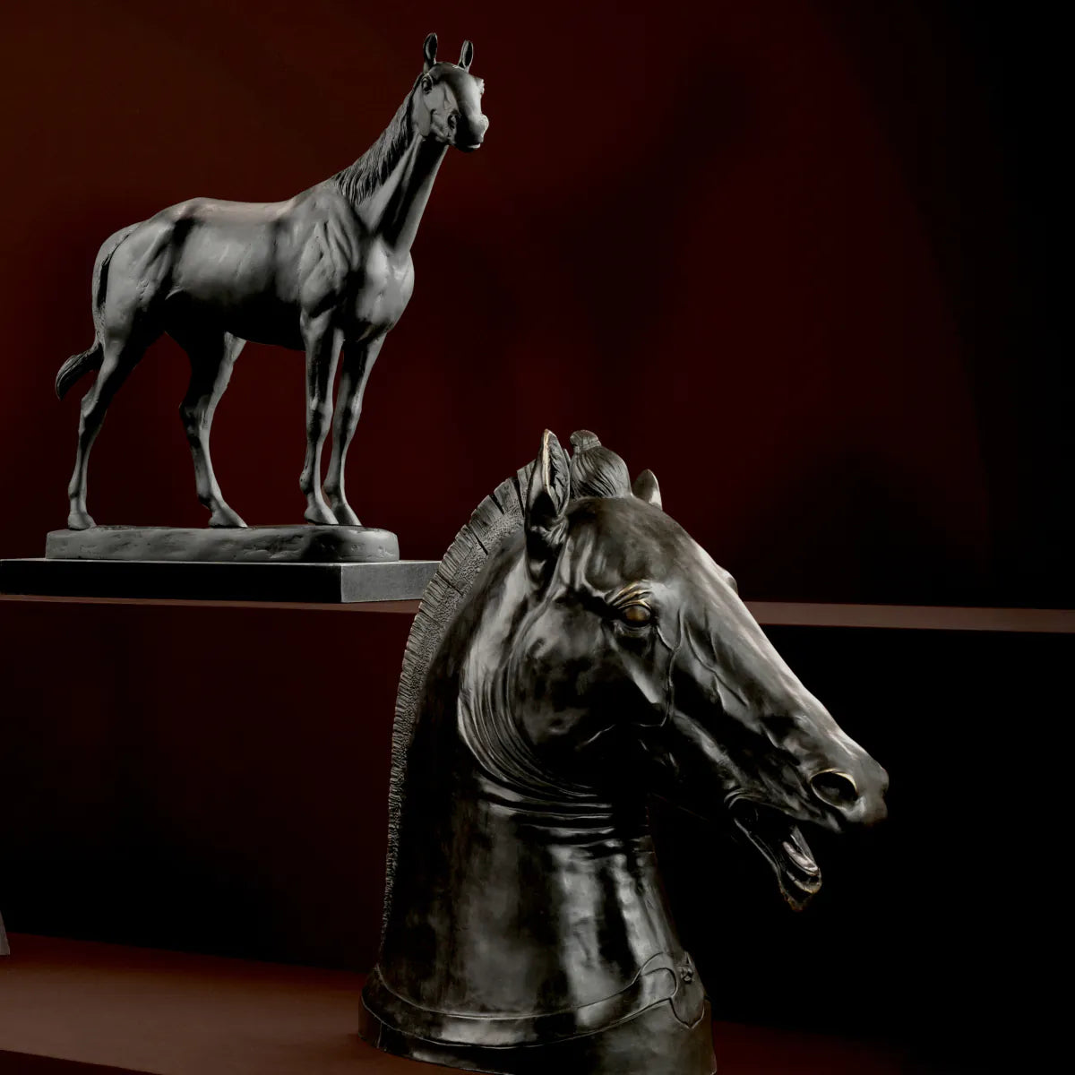 Horse Rodondo