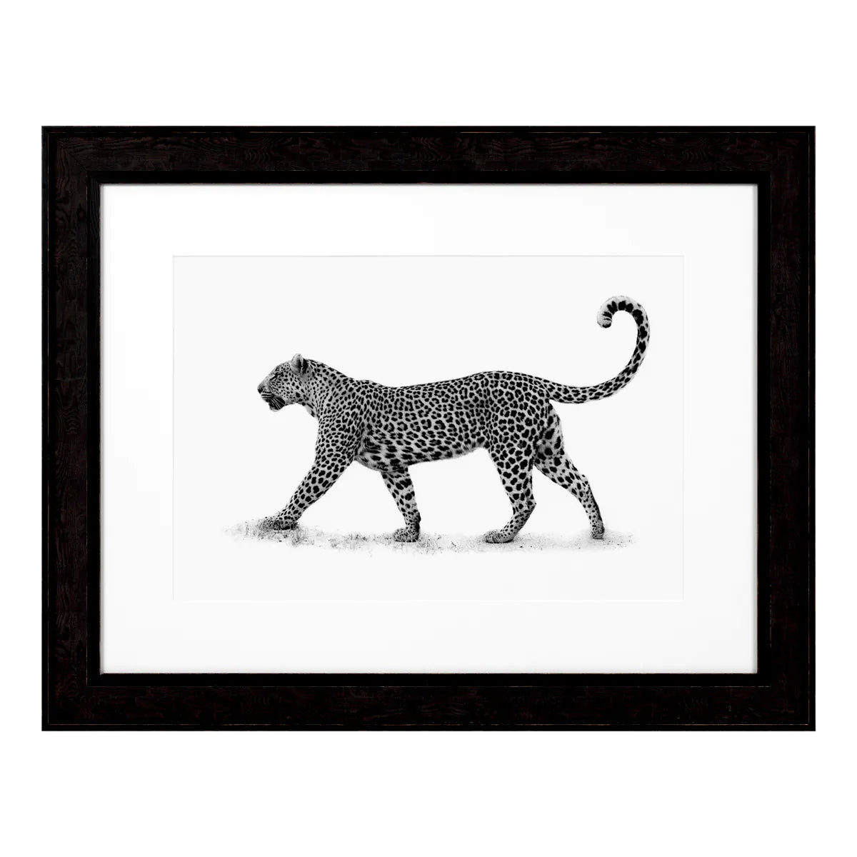 Print The Leopard