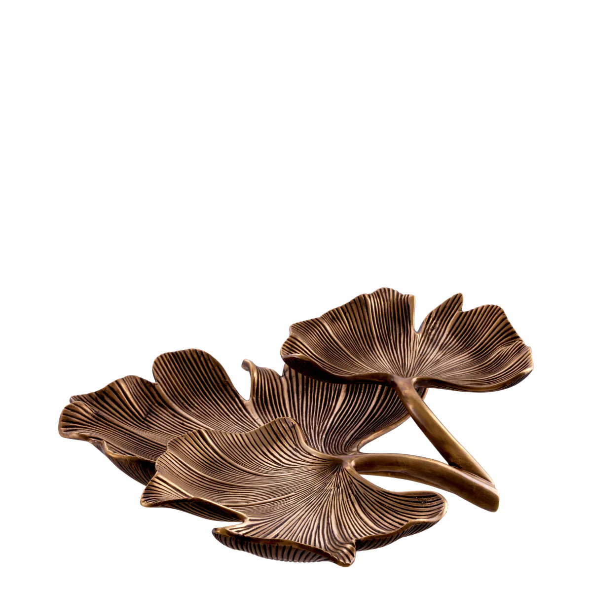 Tray Ginkgo
