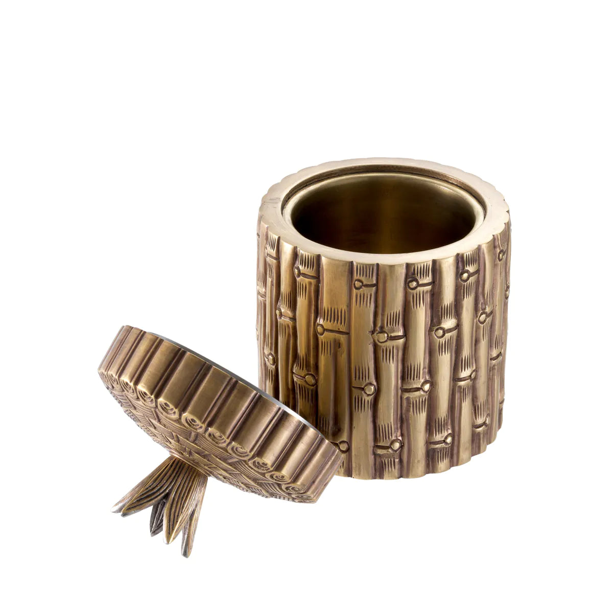 Box Bamboo