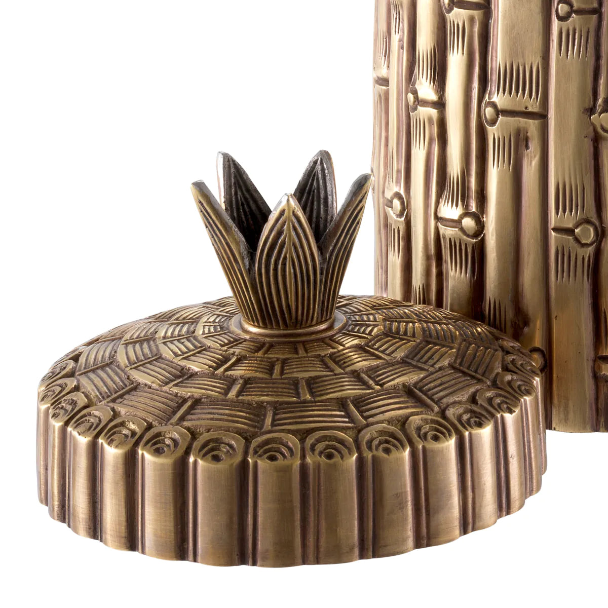 Box Bamboo