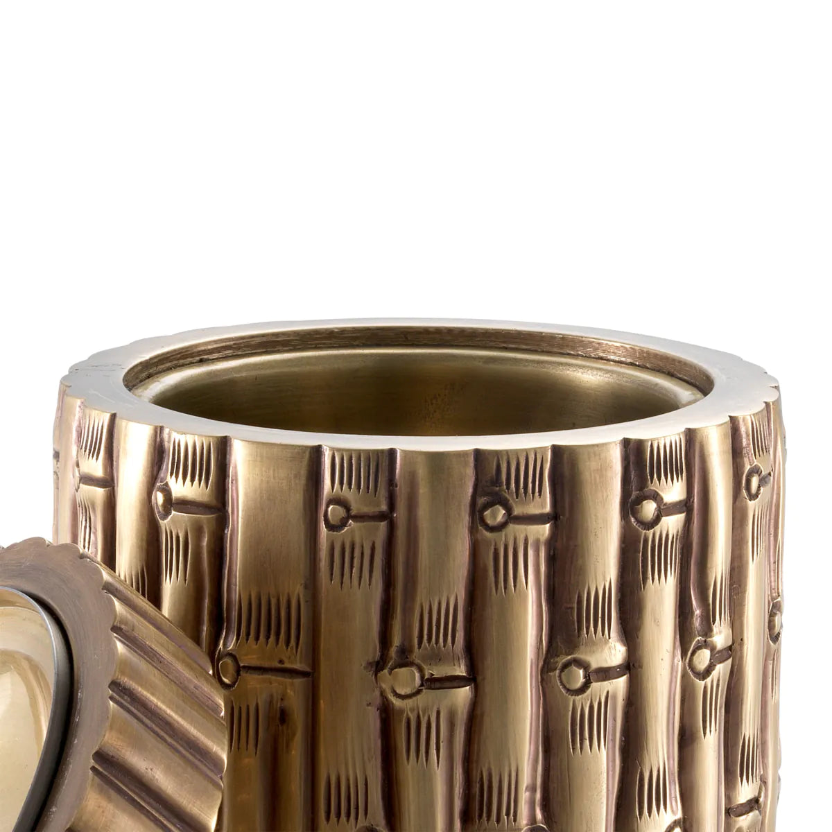 Box Bamboo