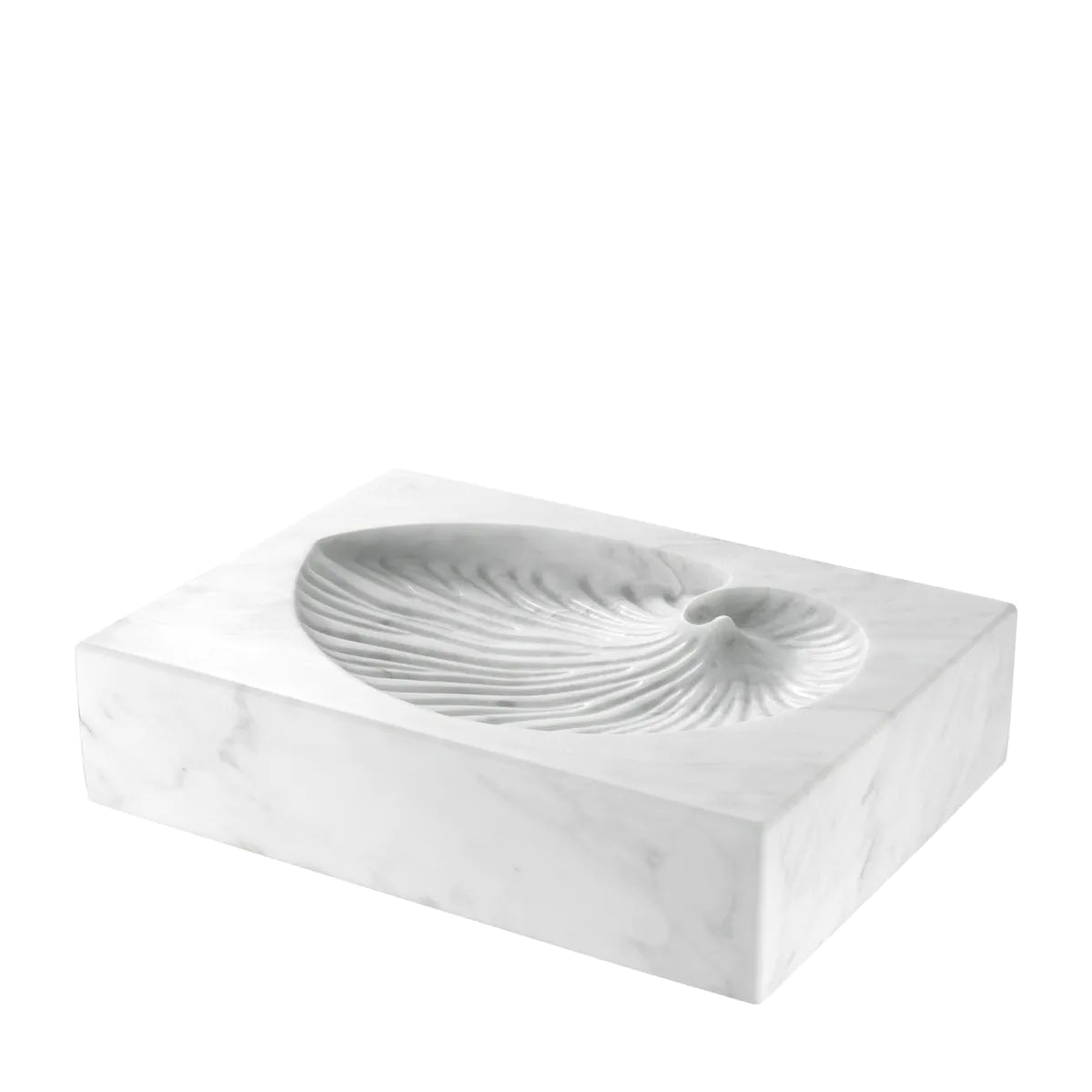 Object Conchiglia