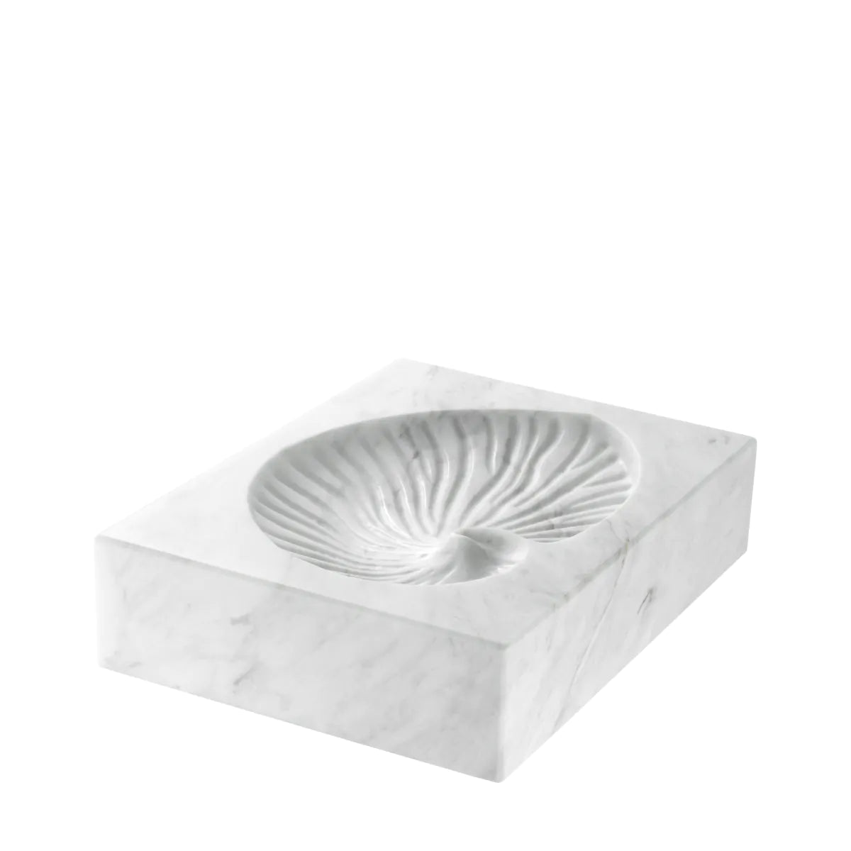 Object Conchiglia