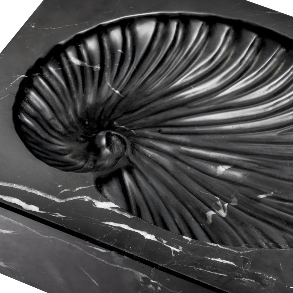 Object Conchiglia