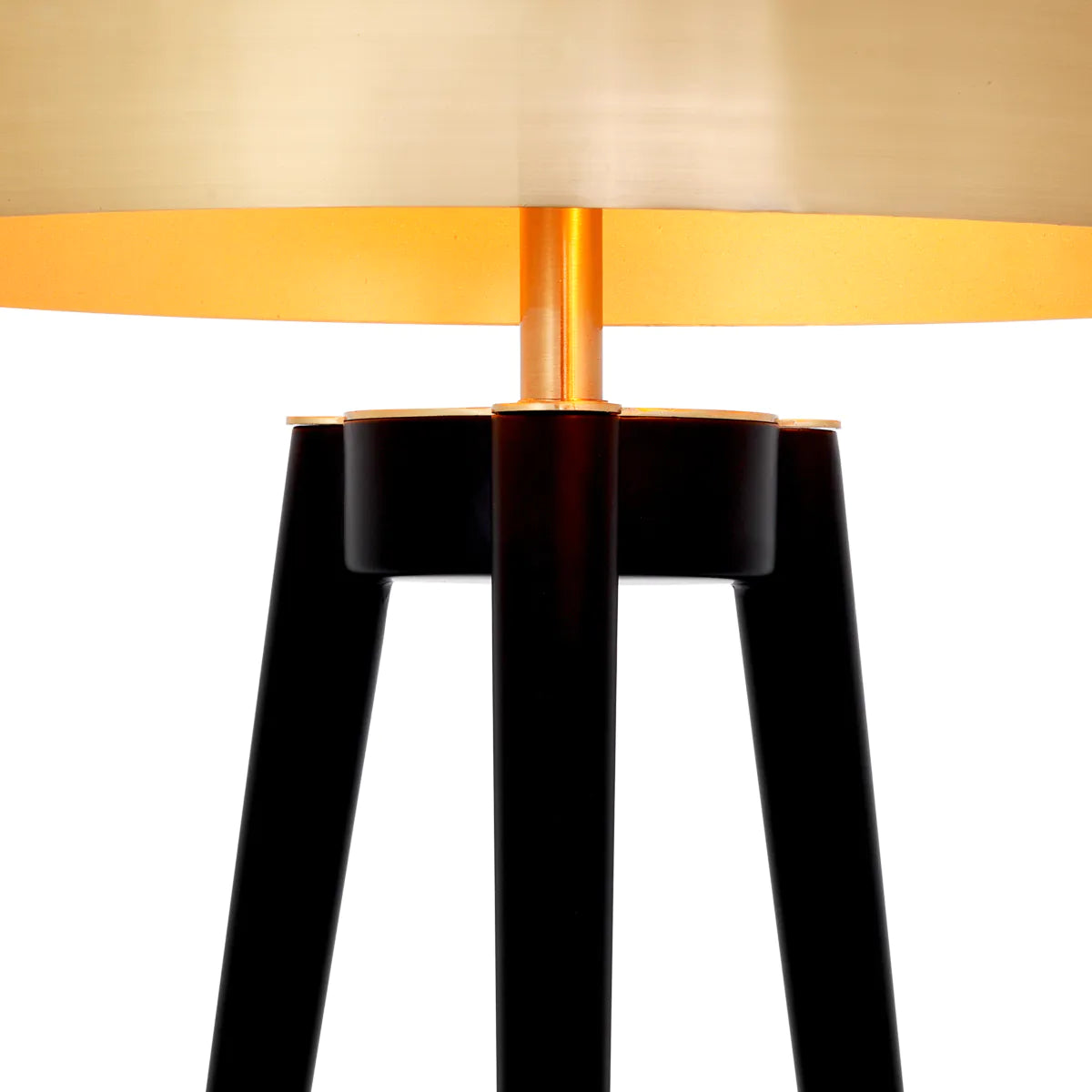 Table Lamp Coyote