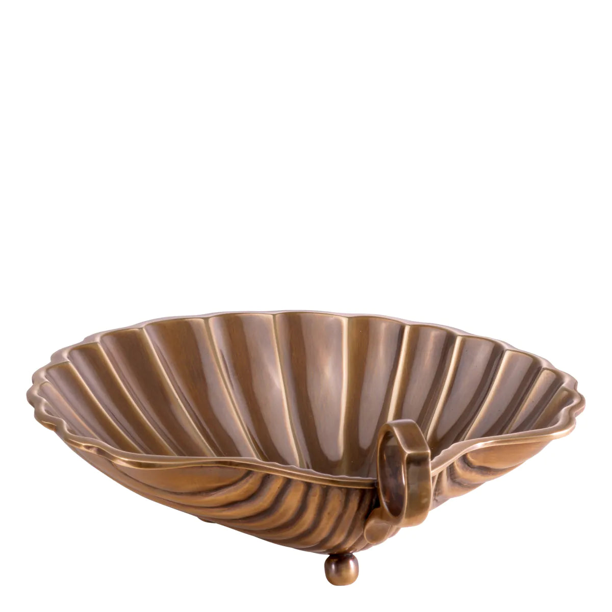Tray Shell M