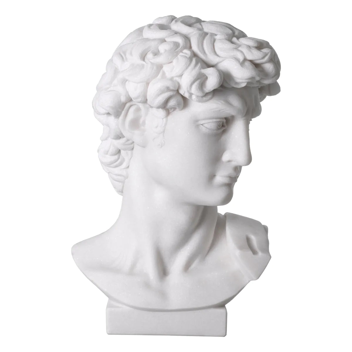 Head David