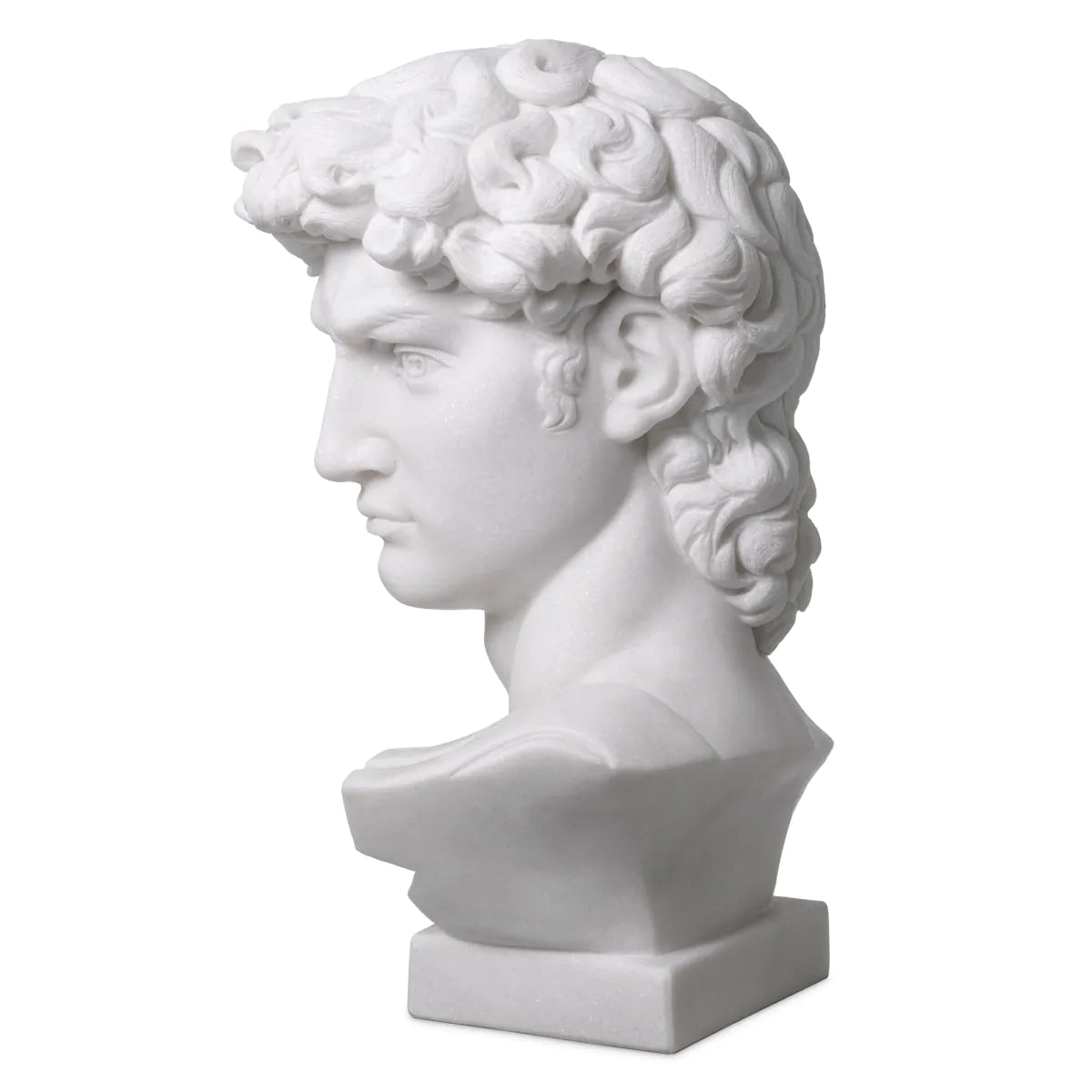 Head David